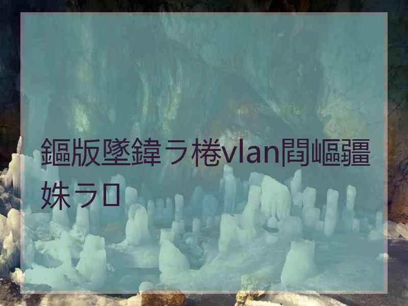 鏂版墜鍏ラ棬vlan閰嶇疆姝ラ