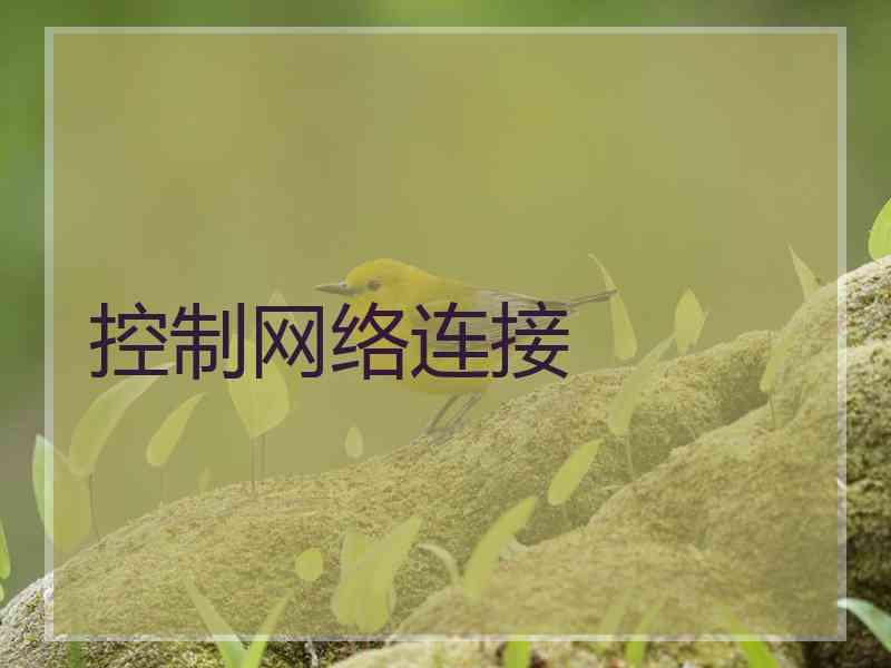 控制网络连接