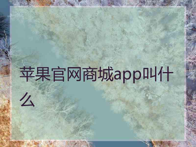 苹果官网商城app叫什么