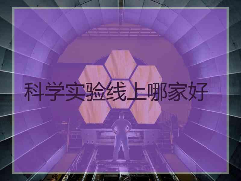 科学实验线上哪家好