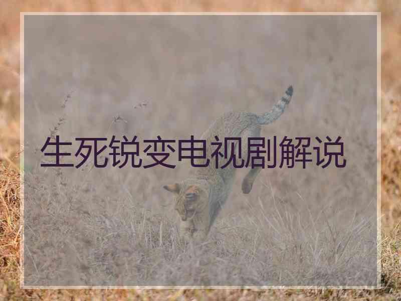 生死锐变电视剧解说