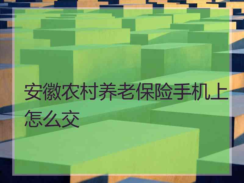 安徽农村养老保险手机上怎么交