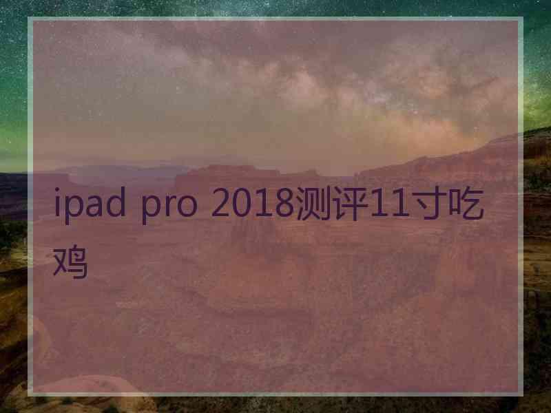 ipad pro 2018测评11寸吃鸡