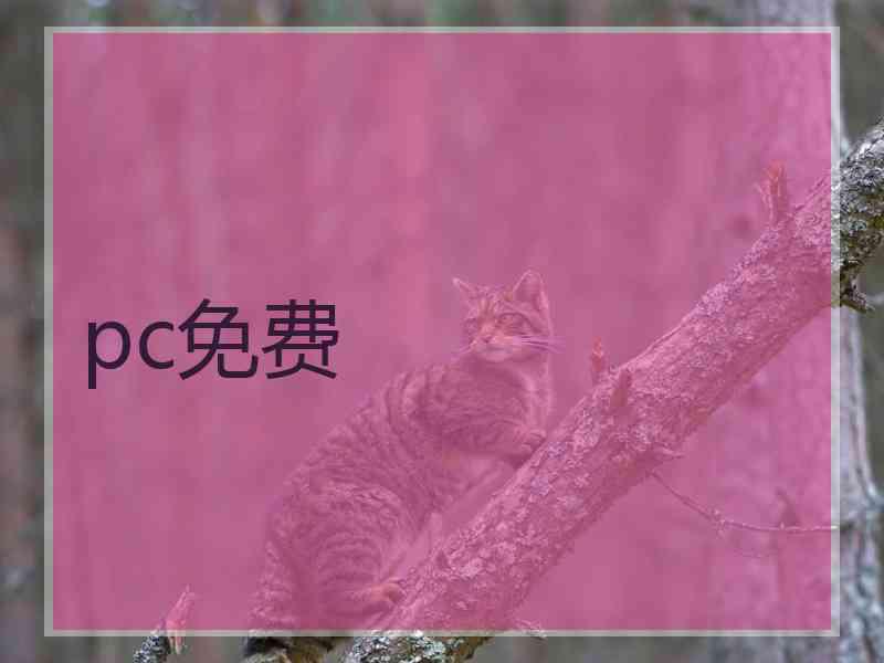 pc免费