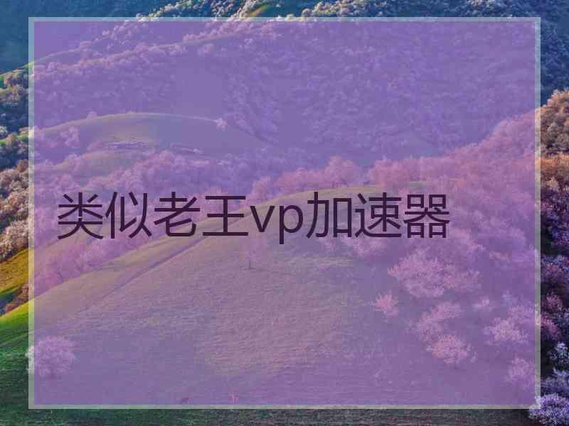 类似老王vp加速器