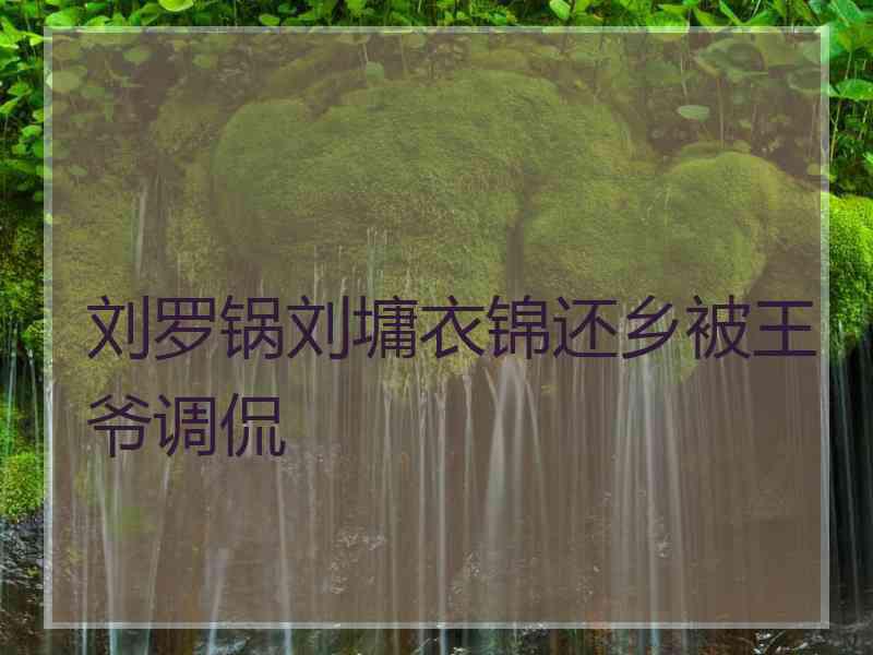 刘罗锅刘墉衣锦还乡被王爷调侃