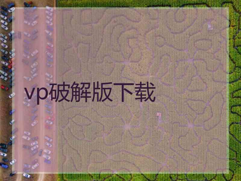vp破解版下载