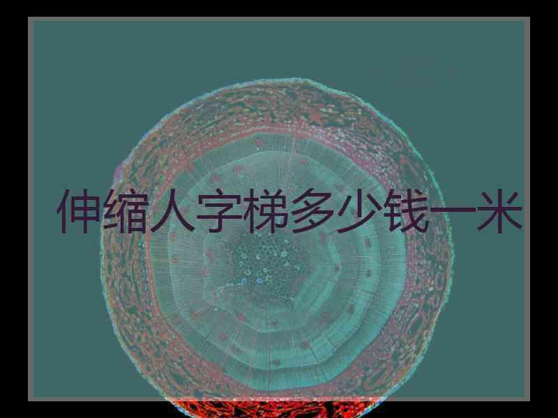 伸缩人字梯多少钱一米