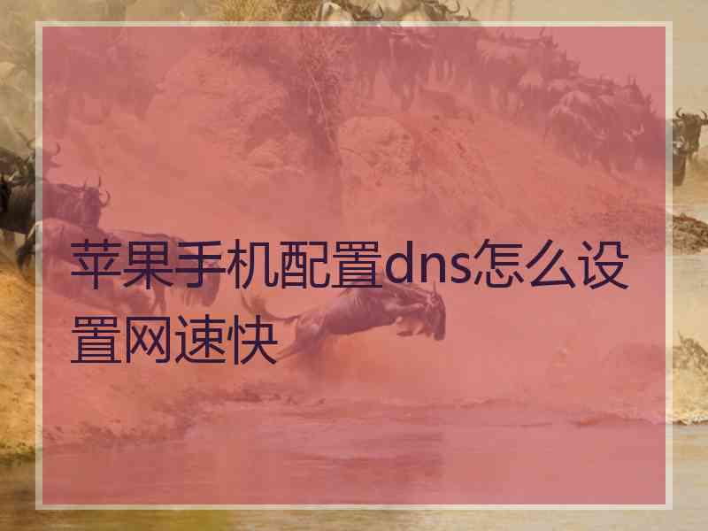 苹果手机配置dns怎么设置网速快