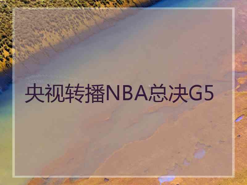 央视转播NBA总决G5