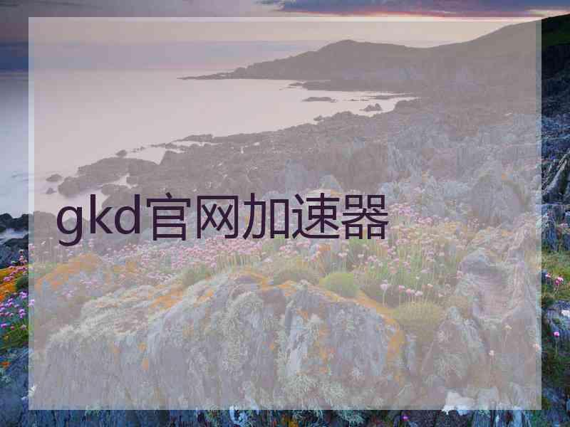 gkd官网加速器
