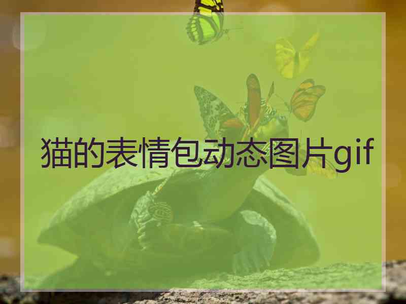猫的表情包动态图片gif