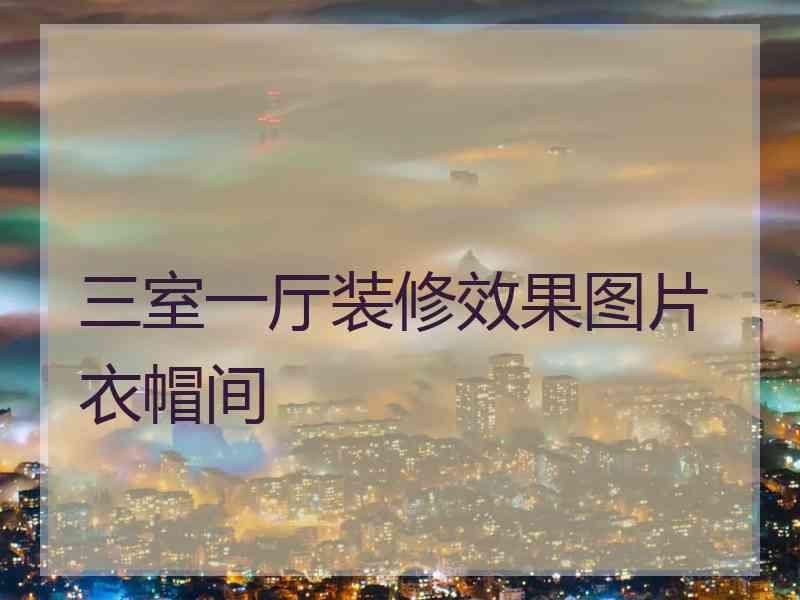三室一厅装修效果图片衣帽间