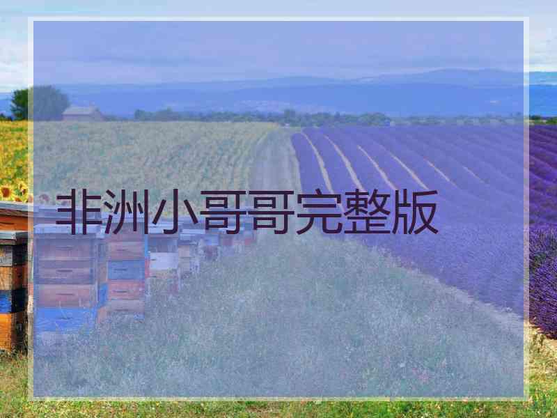 非洲小哥哥完整版