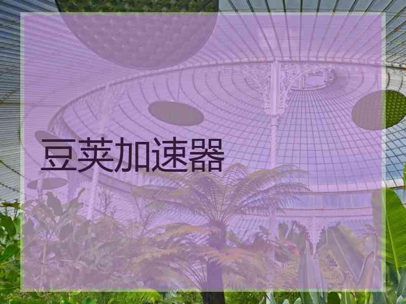 豆荚加速器