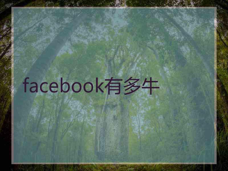 facebook有多牛