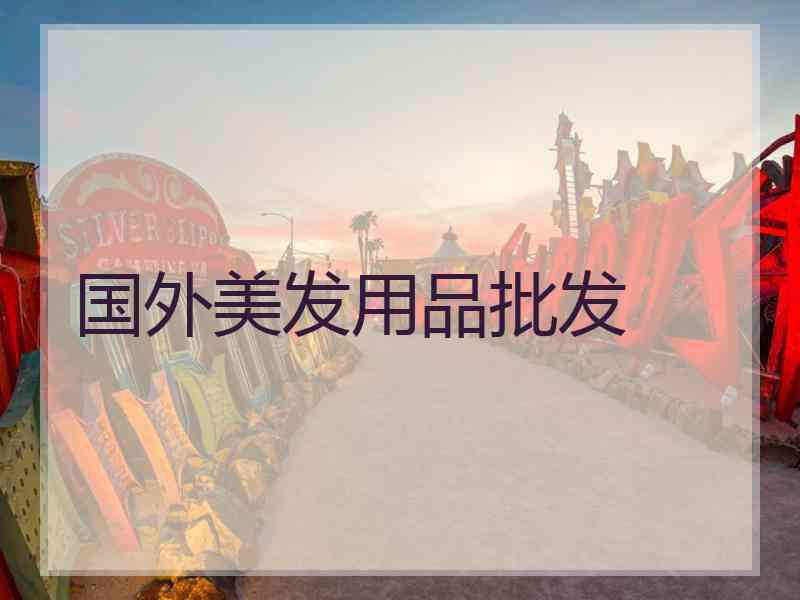 国外美发用品批发