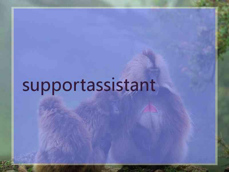 supportassistant