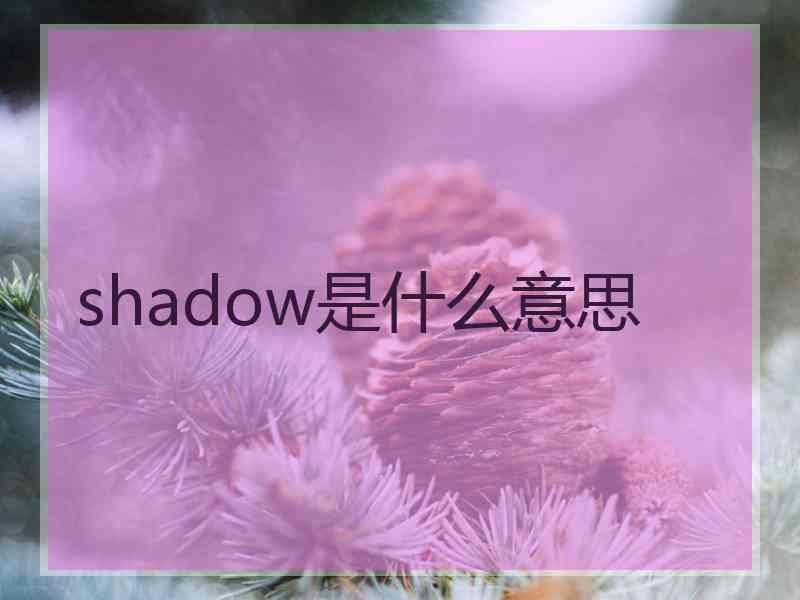 shadow是什么意思