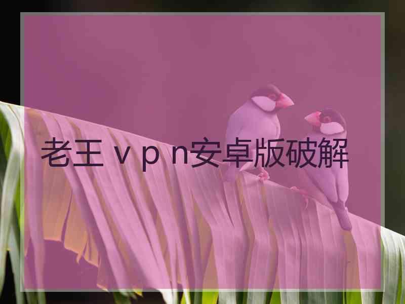 老王 v p n安卓版破解