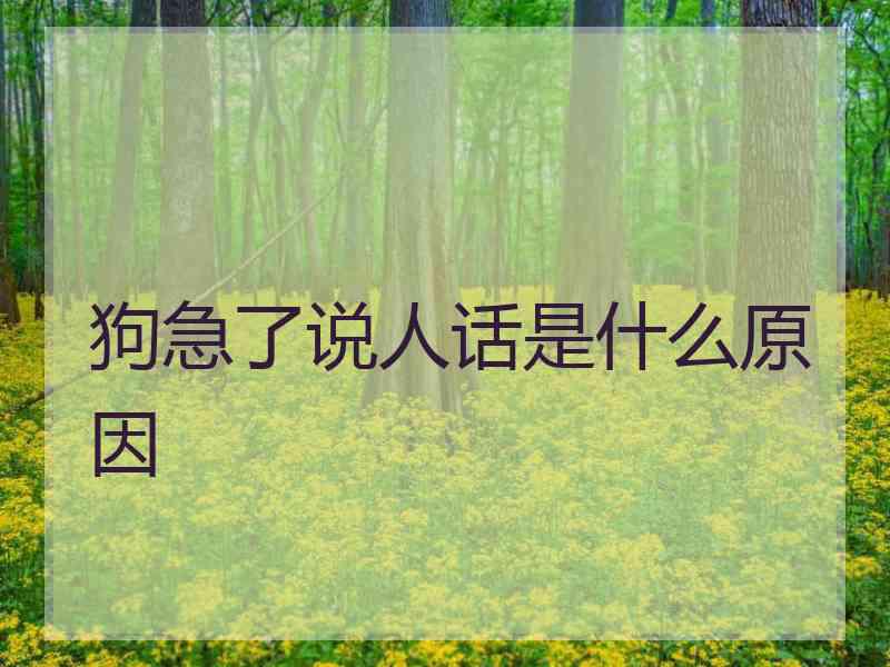 狗急了说人话是什么原因