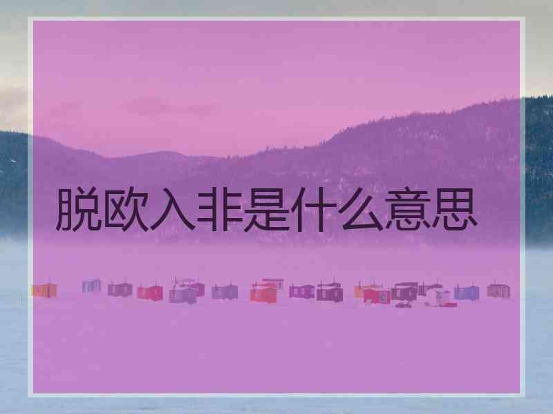 脱欧入非是什么意思