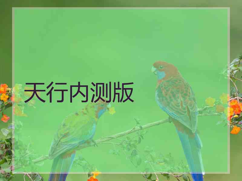 天行内测版