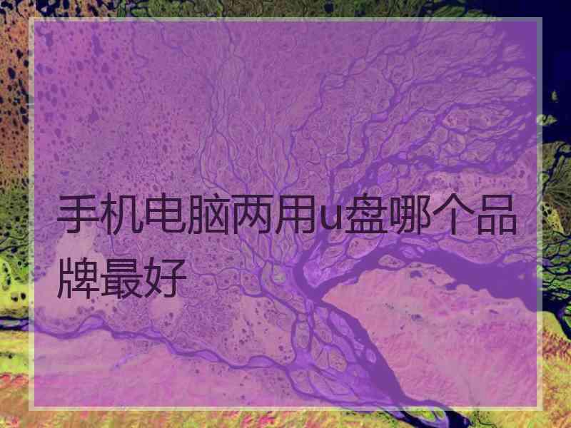 手机电脑两用u盘哪个品牌最好