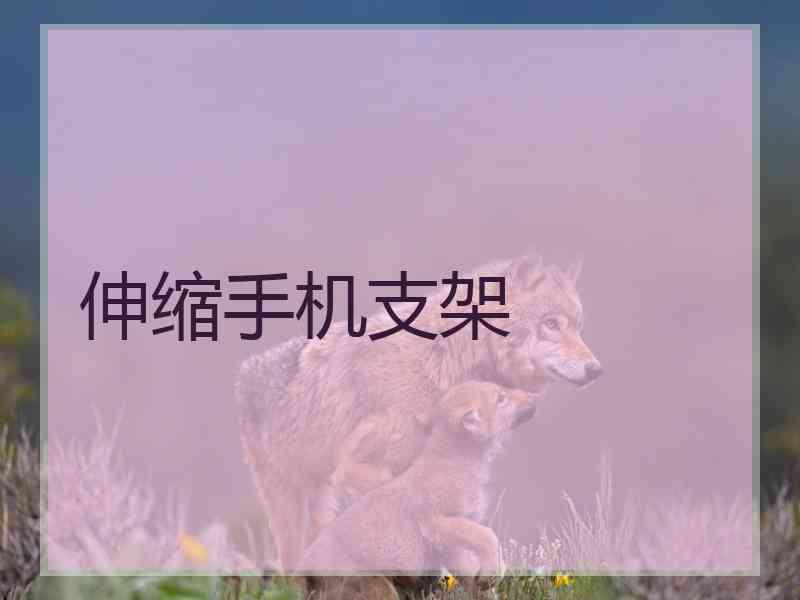 伸缩手机支架