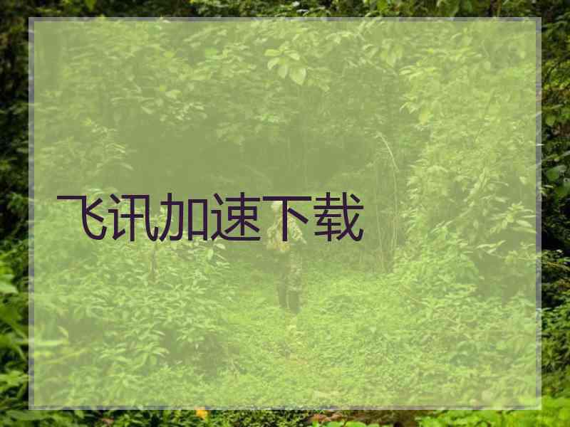 飞讯加速下载