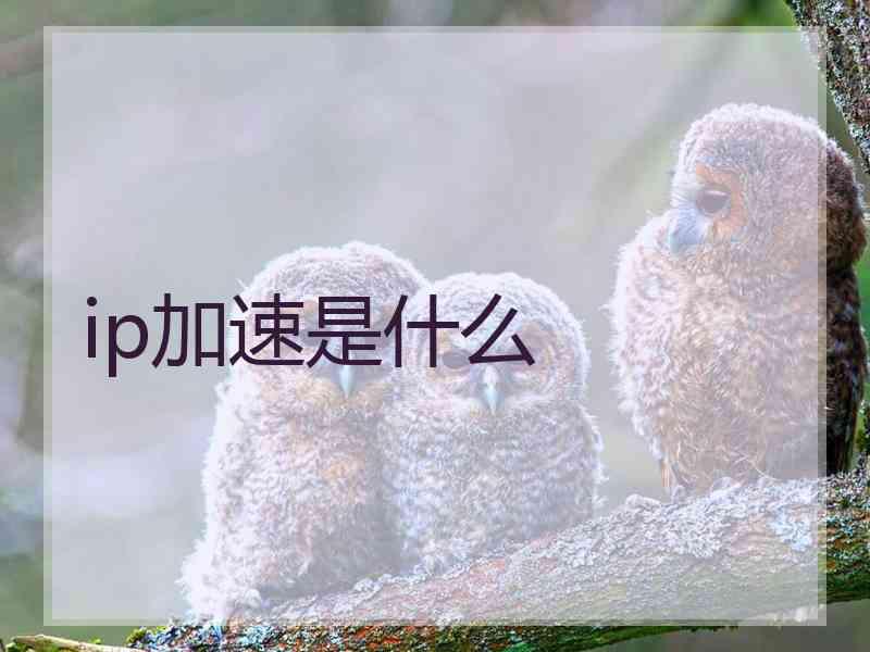 ip加速是什么