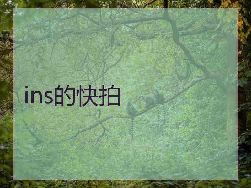 ins的快拍