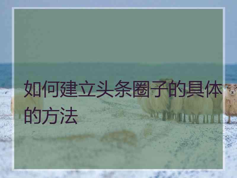 如何建立头条圈子的具体的方法