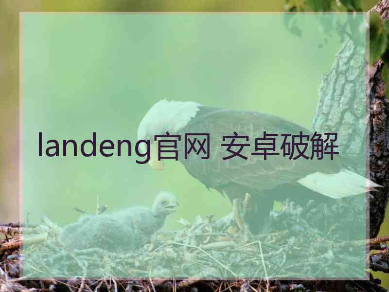 landeng官网 安卓破解