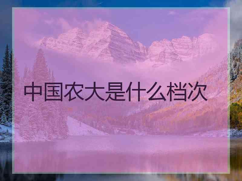 中国农大是什么档次