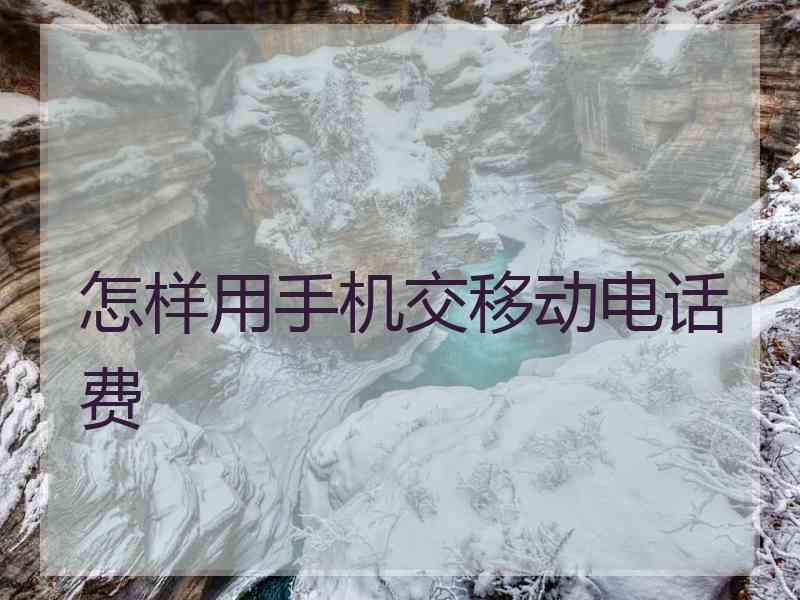怎样用手机交移动电话费