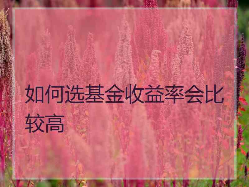 如何选基金收益率会比较高