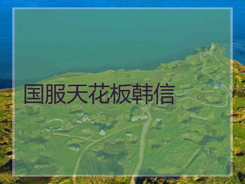 国服天花板韩信