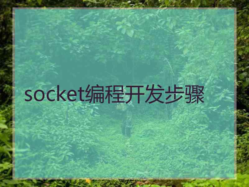 socket编程开发步骤