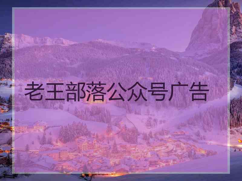 老王部落公众号广告