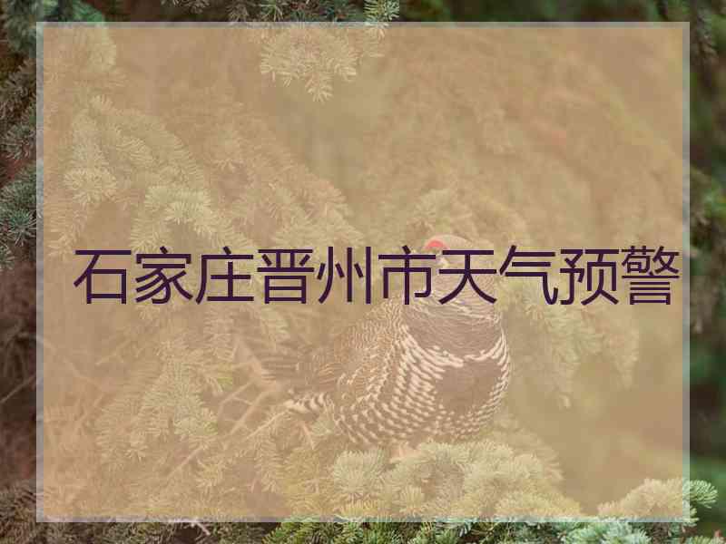 石家庄晋州市天气预警