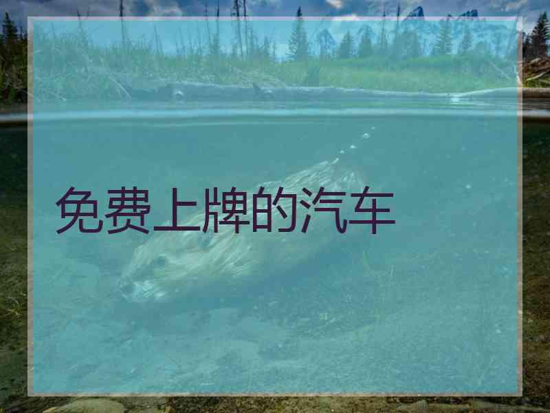 免费上牌的汽车
