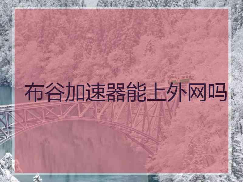 布谷加速器能上外网吗