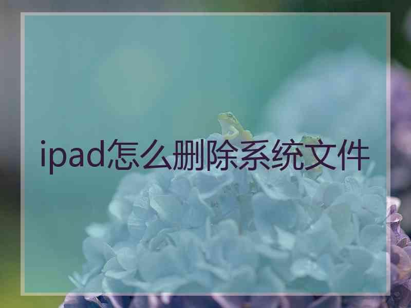 ipad怎么删除系统文件