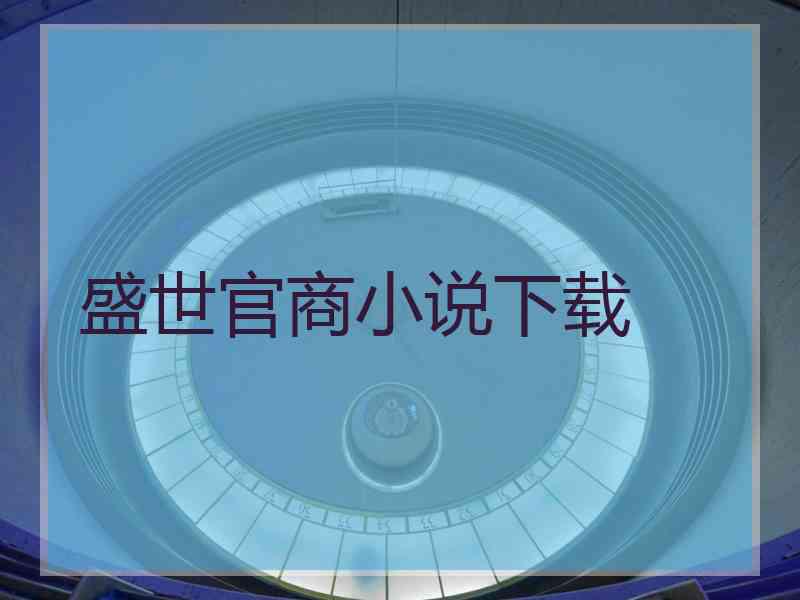 盛世官商小说下载