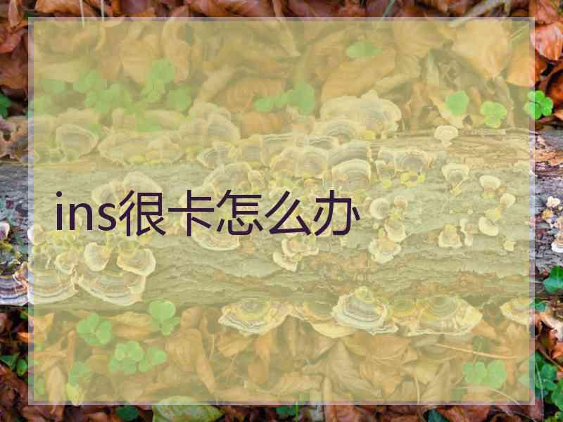 ins很卡怎么办