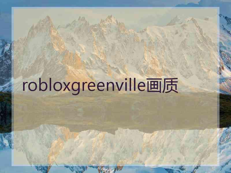robloxgreenville画质