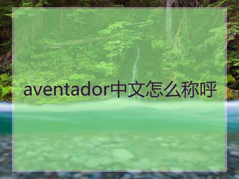 aventador中文怎么称呼