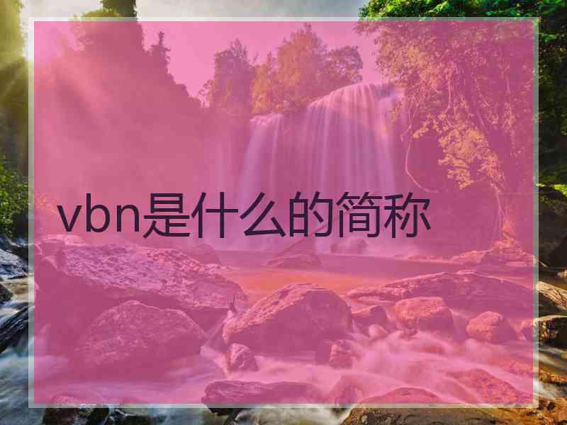vbn是什么的简称