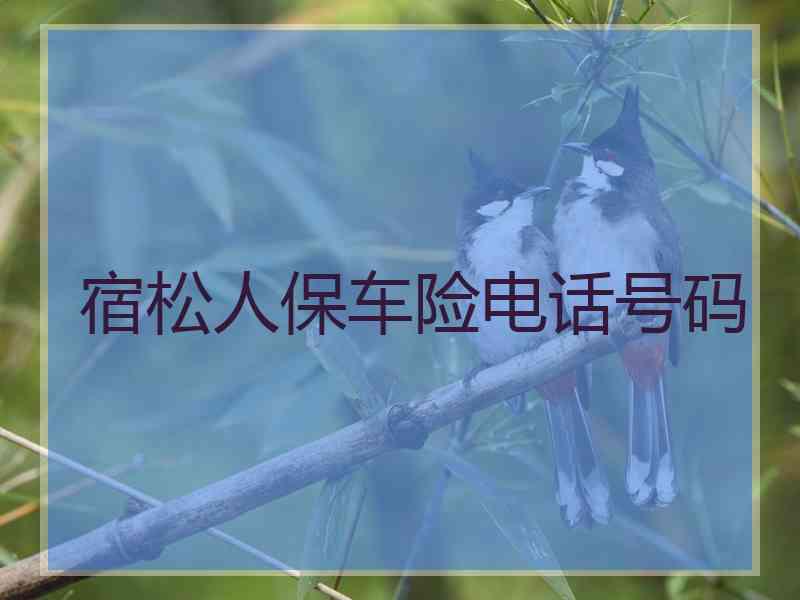 宿松人保车险电话号码